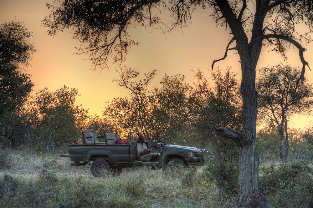 Simbavati River Lodge ทิมบาวาตีเกมรีเซิร์ฟ ภายนอก รูปภาพ